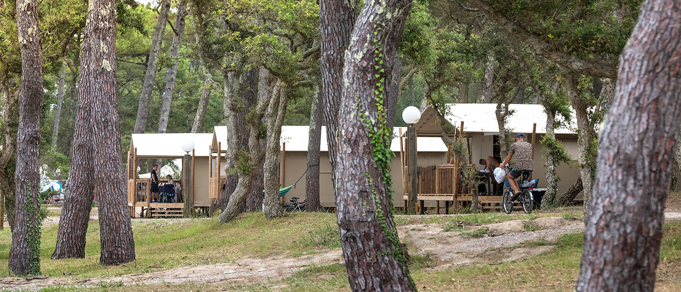 Camping Domaine de Fierbois, camping Capbreton, Nouvelle-Aquitaine - 3