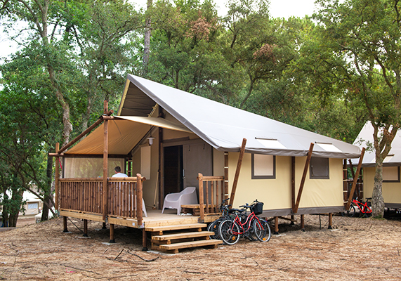 Discover our Lodges